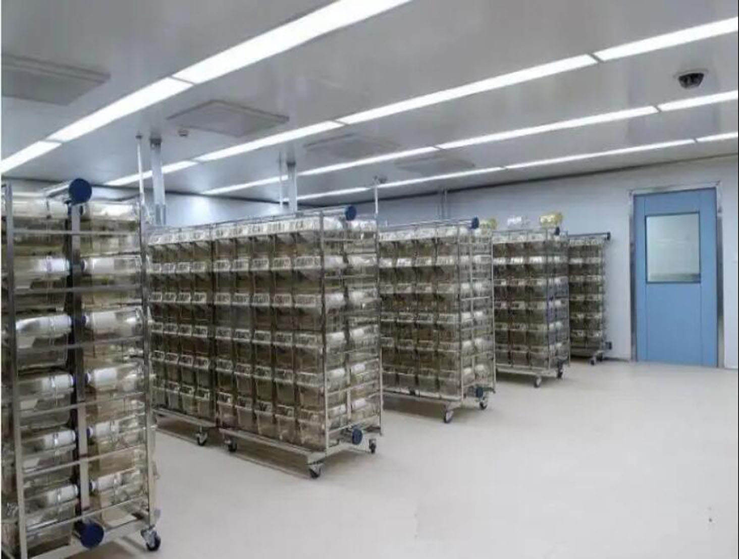 動物實(shí)驗(yàn)室